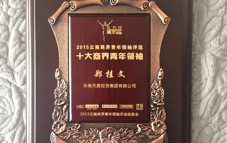 在“互聯(lián)網(wǎng)大時(shí)代”的背景下，天度作為本土很大和很有名的互聯(lián)網(wǎng)服務(wù)企業(yè)，為近萬(wàn)家傳統(tǒng)企業(yè)轉(zhuǎn)型互聯(lián)網(wǎng)+提供了服務(wù)和幫助，獲此獎(jiǎng)項(xiàng)后，我們將再接再厲，創(chuàng)造更高的社會(huì)價(jià)值